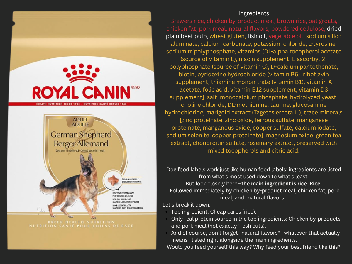 Royal Canin ingredient breakdown revealing grain fillers and artificial nutrients