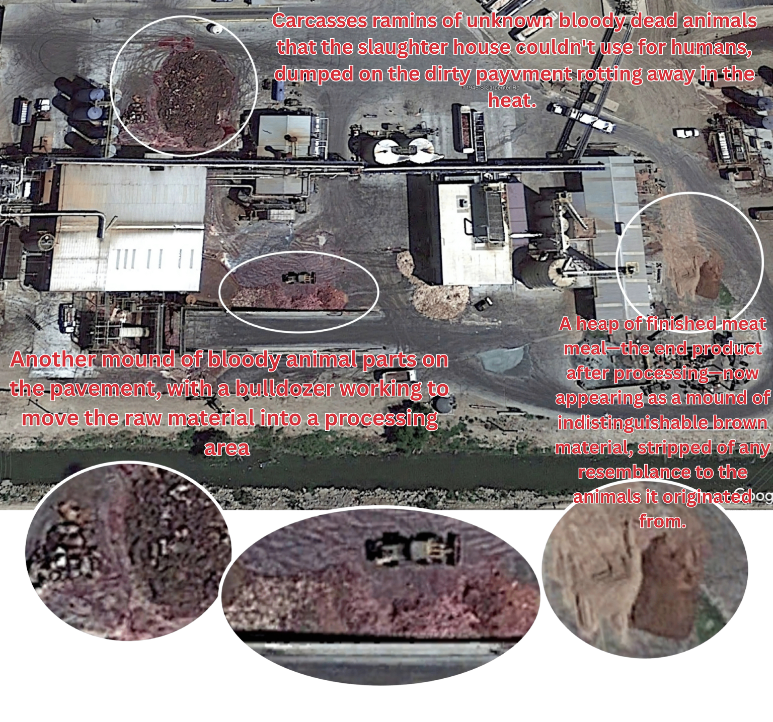 Aerial view of rendering plant processing animal carcasses