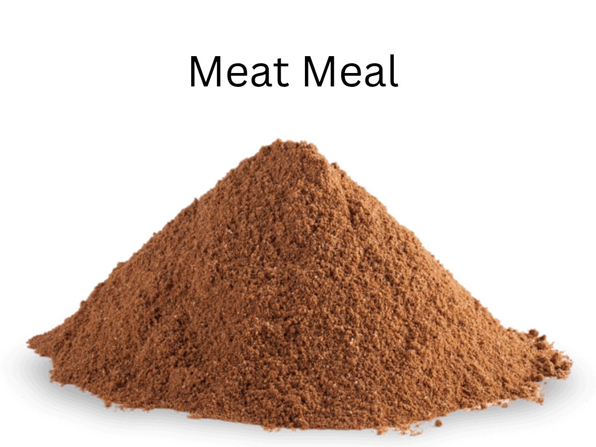 Meat meal powder - what's left after extreme processing destroys nutrition