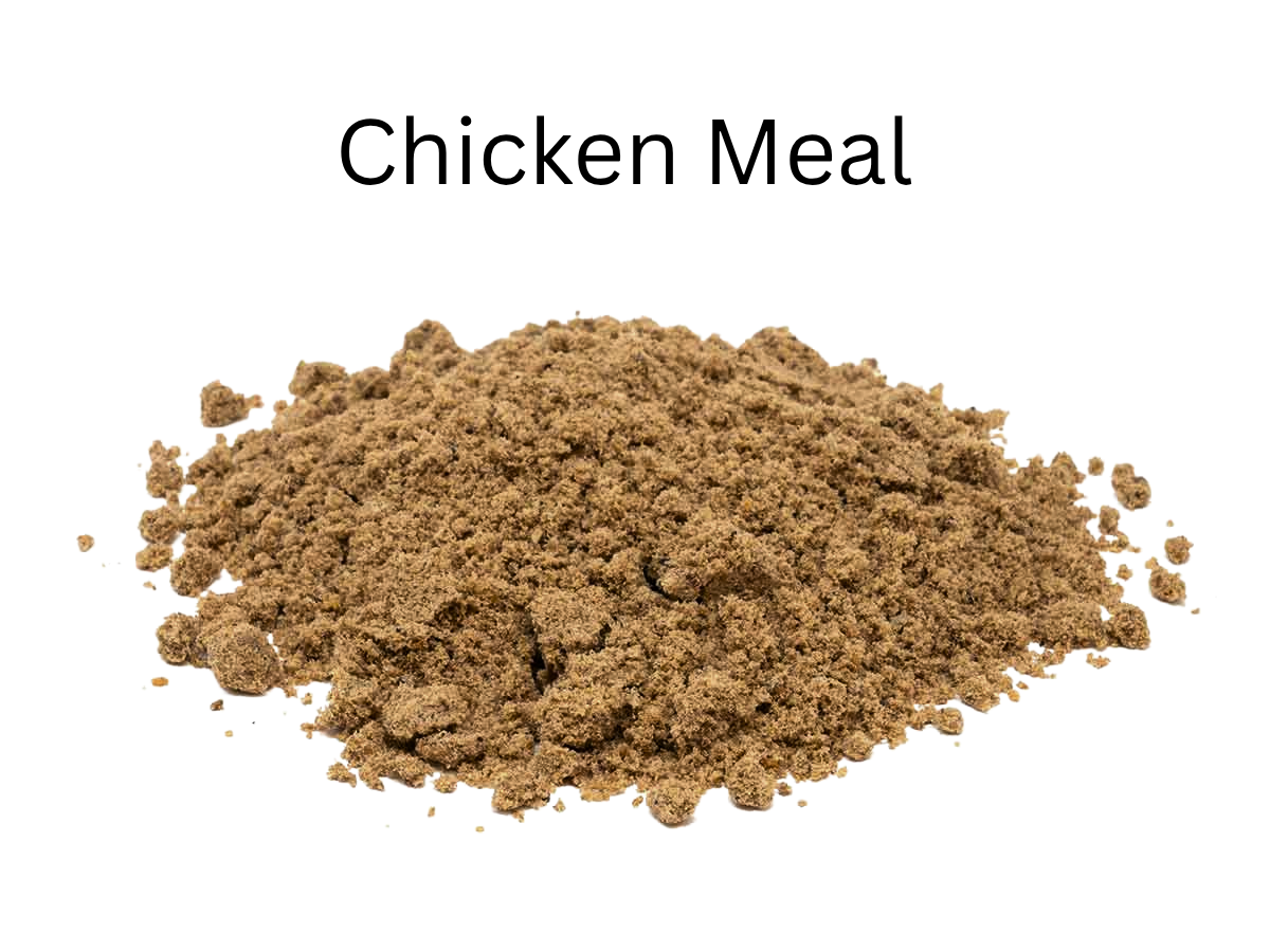 Chicken meal powder showing ultra-processed remains after high-heat treatment